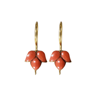 14k Gold Natural Italian Coral Earrings - K Jewelry Accessories