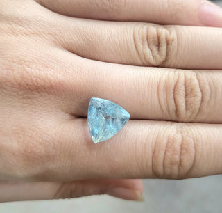6.10 ct. Natural Blue Aquamarine Trillion Shape - #AQ7