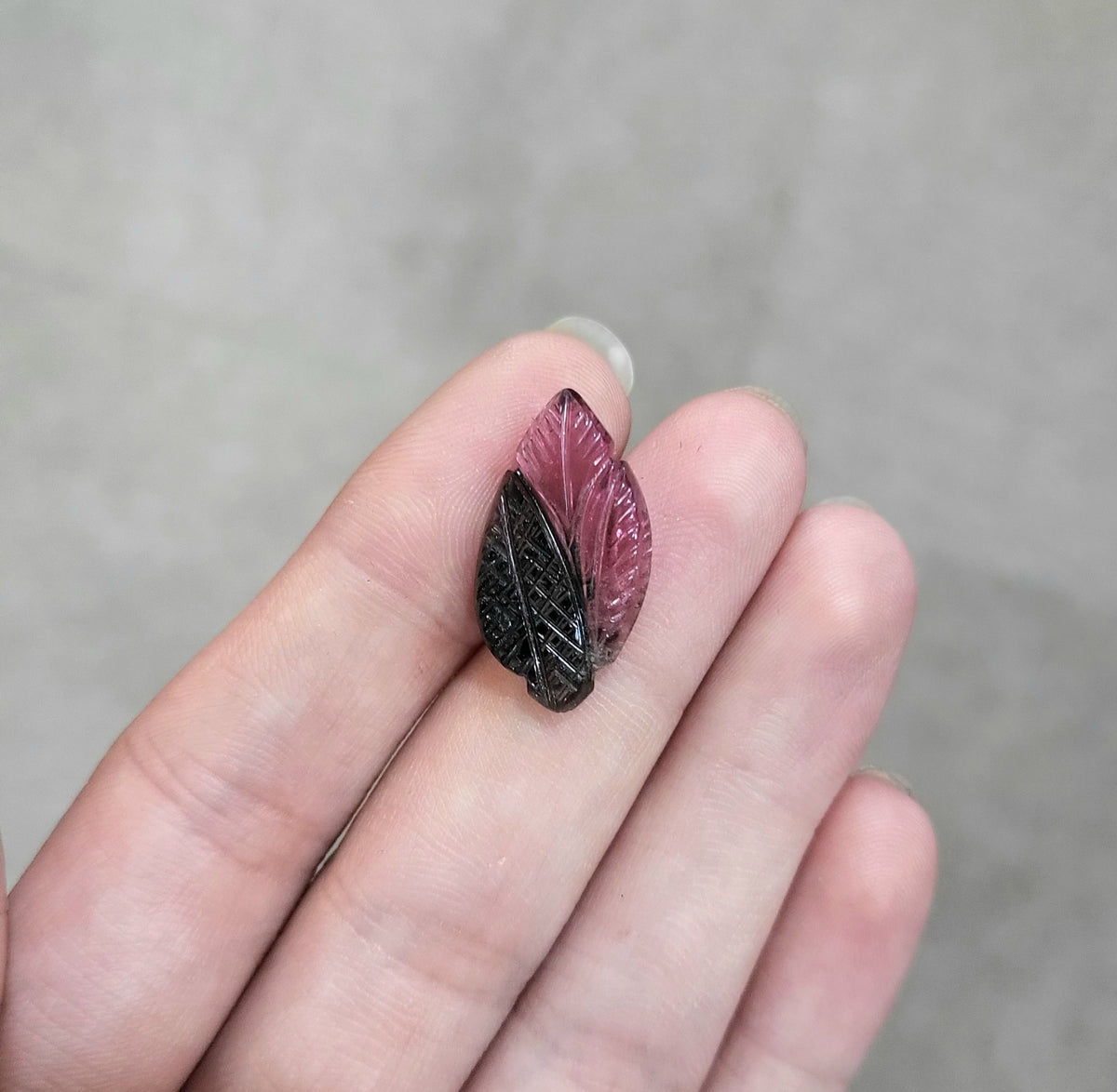 8.63 ct Natural Bi-Color Tourmaline in carved leaf shape - #TL153