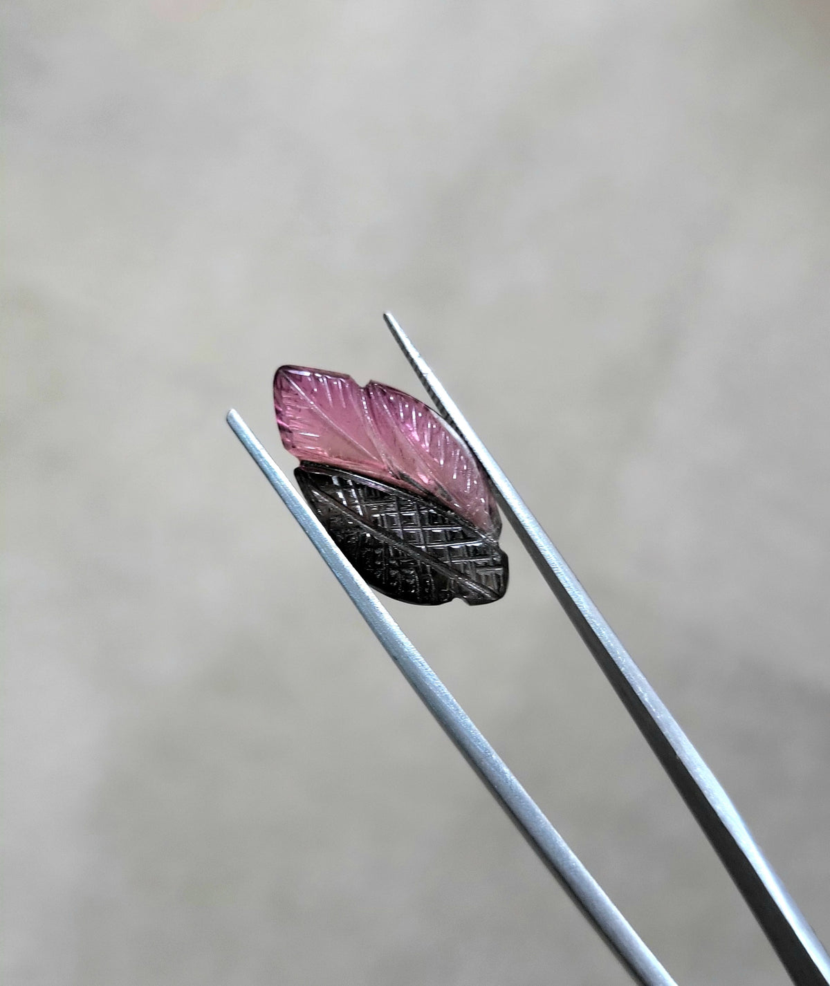 8.63 ct Natural Bi-Color Tourmaline in carved leaf shape - #TL153