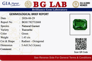 1.45 ct. Natural Tsavorite (Green Garnet) Octagonal Shape - #TS14