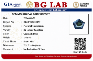 1.62 ct. Natural Bi-Colour Sapphire Mix Shape -#MP23