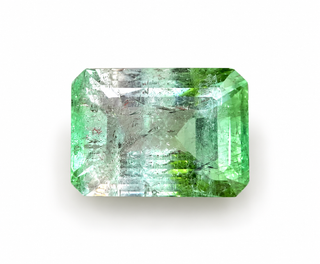 13.93 ct Natural Bi-Color Tourmaline Octagon shape - #TL85