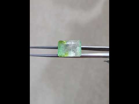 13.93 ct Natural Bi-Color Tourmaline Octagon shape - #TL85